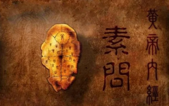 2024年，中醫(yī)養(yǎng)生起步于此！
